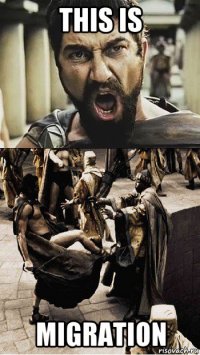 this is migration