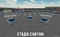  стадо скатин