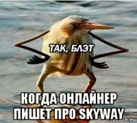  когда онлайнер пишет про skyway
