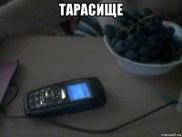тарасище 
