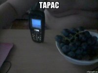 тарас 