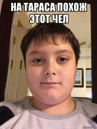 на тараса похож этот чел 