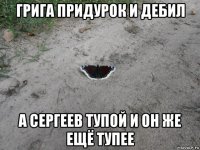 грига придурок и дебил а сергеев тупой и он же ещё тупее
