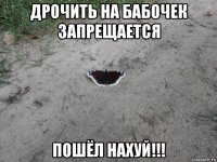 дрочить на бабочек запрещается пошёл нахуй!!!