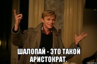  шалопай - это такой аристократ.