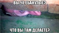 вы че ебанутые? что вы там делаете?
