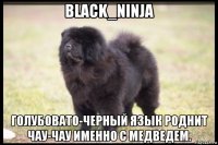 black_ninja голубовато-черный язык роднит чау-чау именно с медведем.