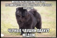 монахи разводили чау-чау преимущественно голубого и черного окрасов. черные чаушки пахнут медом