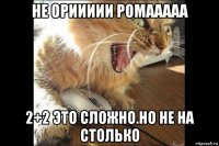 не ориииии ромааааа 2+2 это сложно.но не на столько