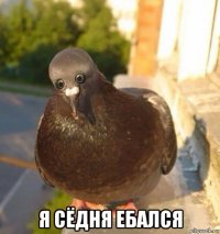  я сёдня ебался
