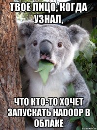 твое лицо, когда узнал, что кто-то хочет запускать hadoop в облаке