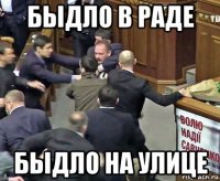 быдло в раде быдло на улице