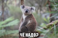  чё надо?