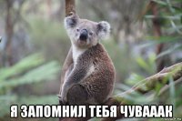  я запомнил тебя чувааак