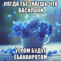 когда ты знаешь что васильки утром будут ебананротом