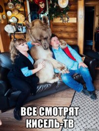  все смотрят кисель-тв