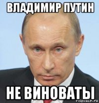 владимир путин не виноваты