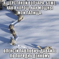 я шерстяной волчара. боже, как я хорош, как мощны мои лапища. олексій павлович, давайте по порядку денному