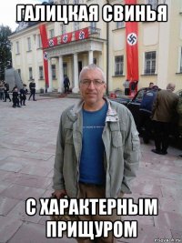 галицкая свинья с характерным прищуром