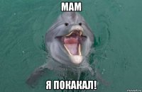 мам я покакал!