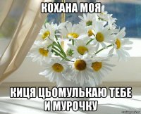 кохана моя киця цьомулькаю тебе и мурочку