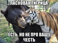 ласковая тигрица есть, но не про вашу честь