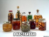  я настаиваю