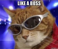 like a boss 