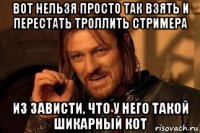 вот нельзя просто так взять и перестать троллить стримера из зависти, что у него такой шикарный кот
