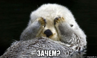  зачем?