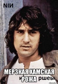  мерзкая хамская рожа