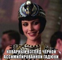  коварный взгляд чёрной ассимилированной гадюки
