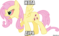 жопа дура