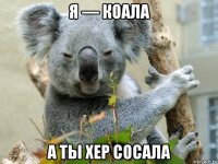 я — коала а ты хер сосала