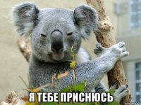  я тебе приснюсь