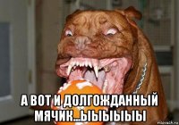  а вот и долгожданный мячик...ыыыыыы