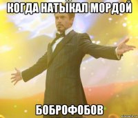 когда натыкал мордой боброфобов