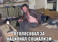  я голосовал за национал-социализм