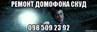 ремонт домофона скуд 098 509 23 92