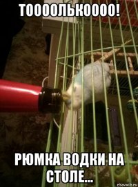 тоооолькоооо! рюмка водки на столе...
