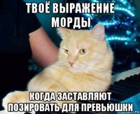 твоё выражение морды когда заставляют позировать для превьюшки