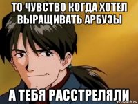 то чувство когда хотел выращивать арбузы а тебя расстреляли