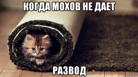когда мохов не дает развод
