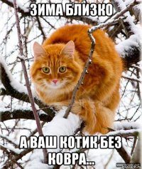 зима близко а ваш котик без ковра...
