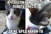а что если нам просто лежать вместе? да не, бред какой-то