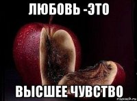 любовь -это высшее чувство