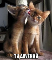 ти ахуений