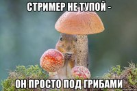 стример не тупой - он просто под грибами