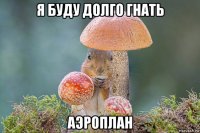 я буду долго гнать аэроплан