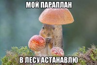 мой параплан в лесу астанавлю